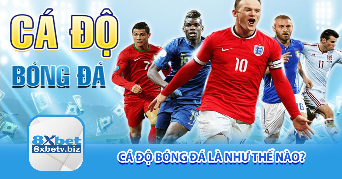 Cá độ bóng đá là như thế nào?