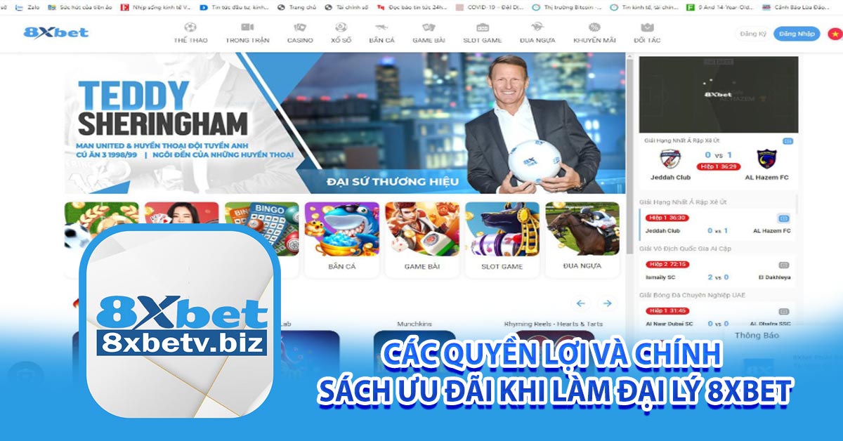 Các quyền lợi và chính sách ưu đãi khi làm đại lý 8xbet