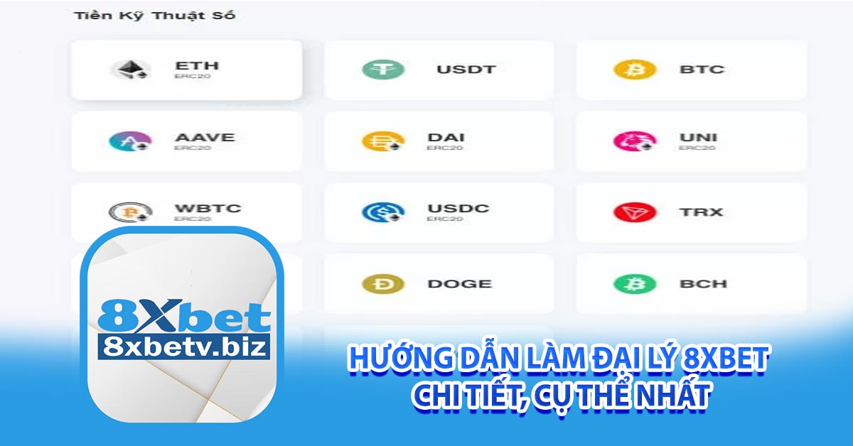 Hướng dẫn làm đại lý 8xbet chi tiết, cụ thể nhất