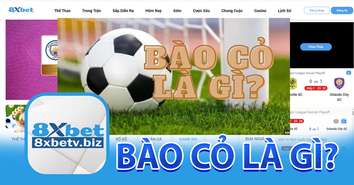 Bào cỏ là gì?