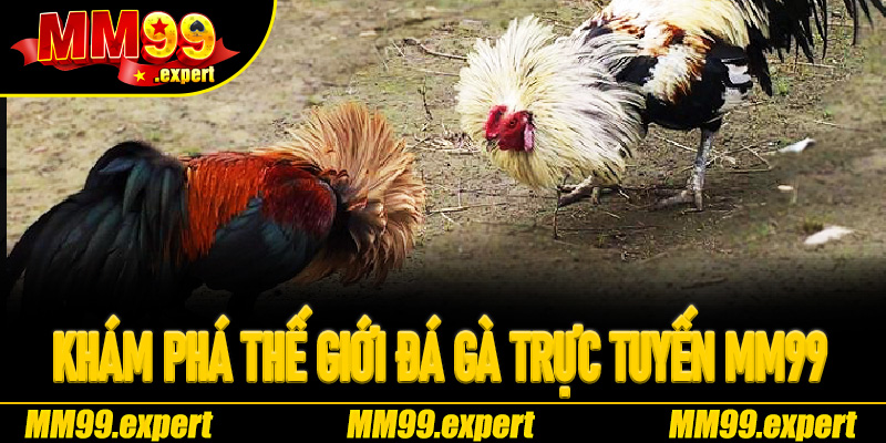 Khám phá thế giới Đá Gà Trực Tuyến MM99
