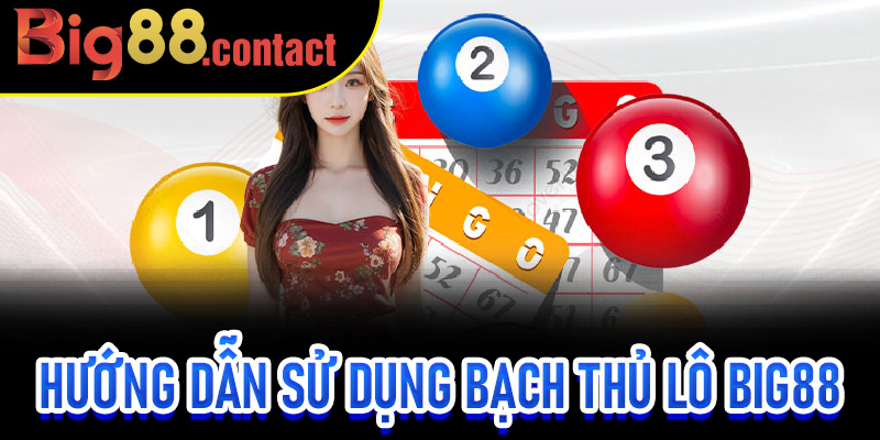 Hướng Dẫn Sử Dụng Bạch Thủ Lô Big88