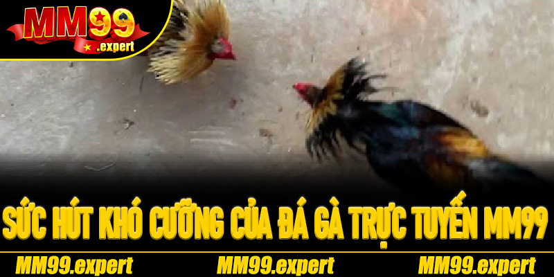 Sức hút khó cưỡng của Đá Gà Trực Tuyến MM99
