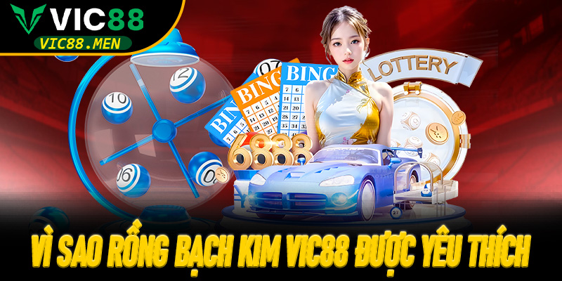 Vì sao Rồng Bạch Kim Vic88 được yêu thích