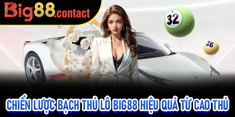 Chiến Lược Bạch Thủ Lô Big88 Hiệu Quả Từ Cao Thủ