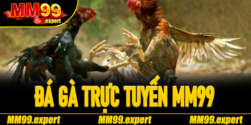 Đá Gà Trực Tuyến MM99
